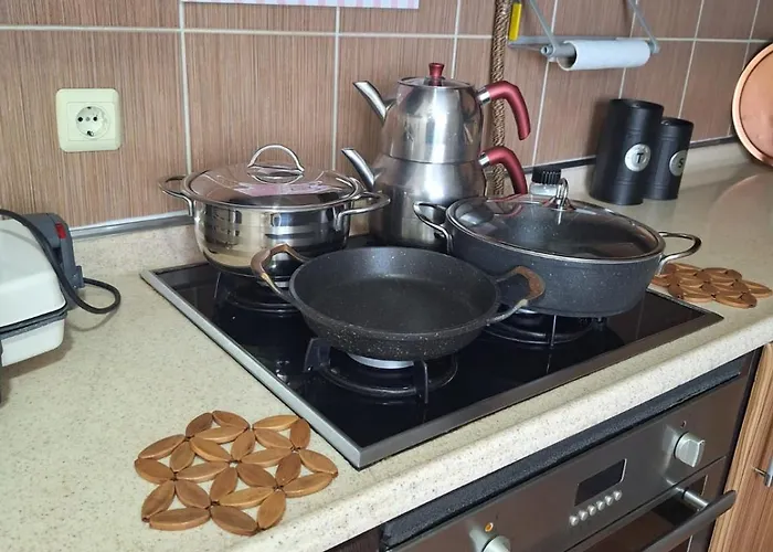 2ege Ueniversitesi Ve Hastanesine Cok Yakin Aileye Ve Firmaya Uygun * Bornova